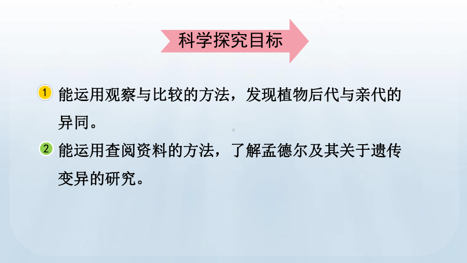 2023春教科版六年级科学下册2.3 形形色色的植物.pptx_第3页