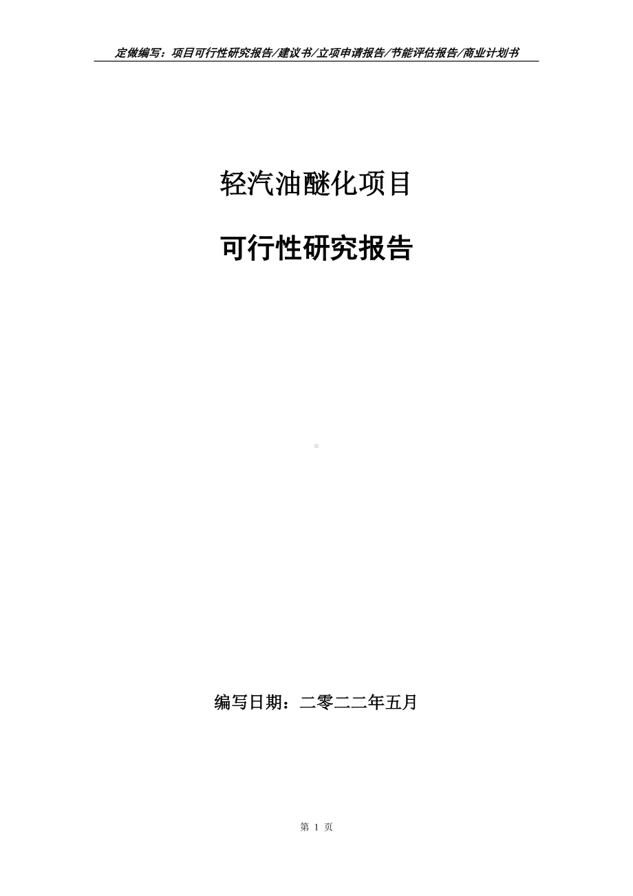 轻汽油醚化项目可行性报告（写作模板）.doc_第1页