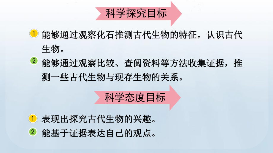 2023春教科版六年级科学下册2.6 古代生物的多样性.pptx_第3页