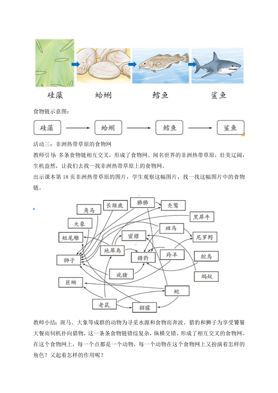 最新苏教版科学六年级下册6.有趣的食物链 教案.docx_第3页