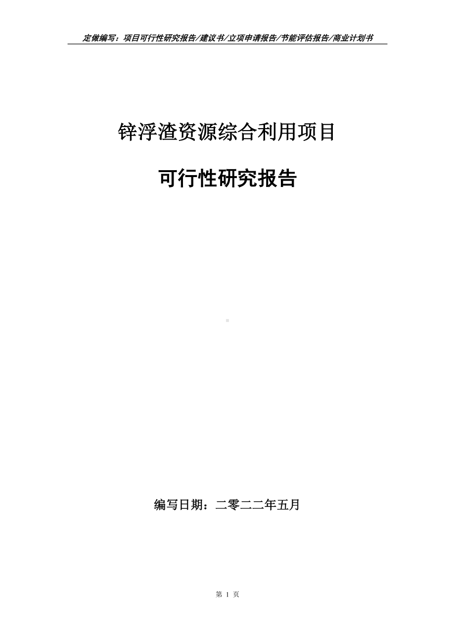 锌浮渣资源综合利用项目可行性报告（写作模板）.doc_第1页