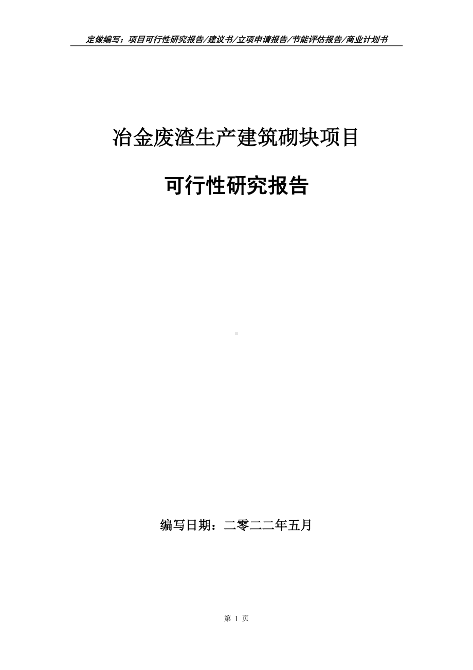 冶金废渣生产建筑砌块项目可行性报告（写作模板）.doc_第1页