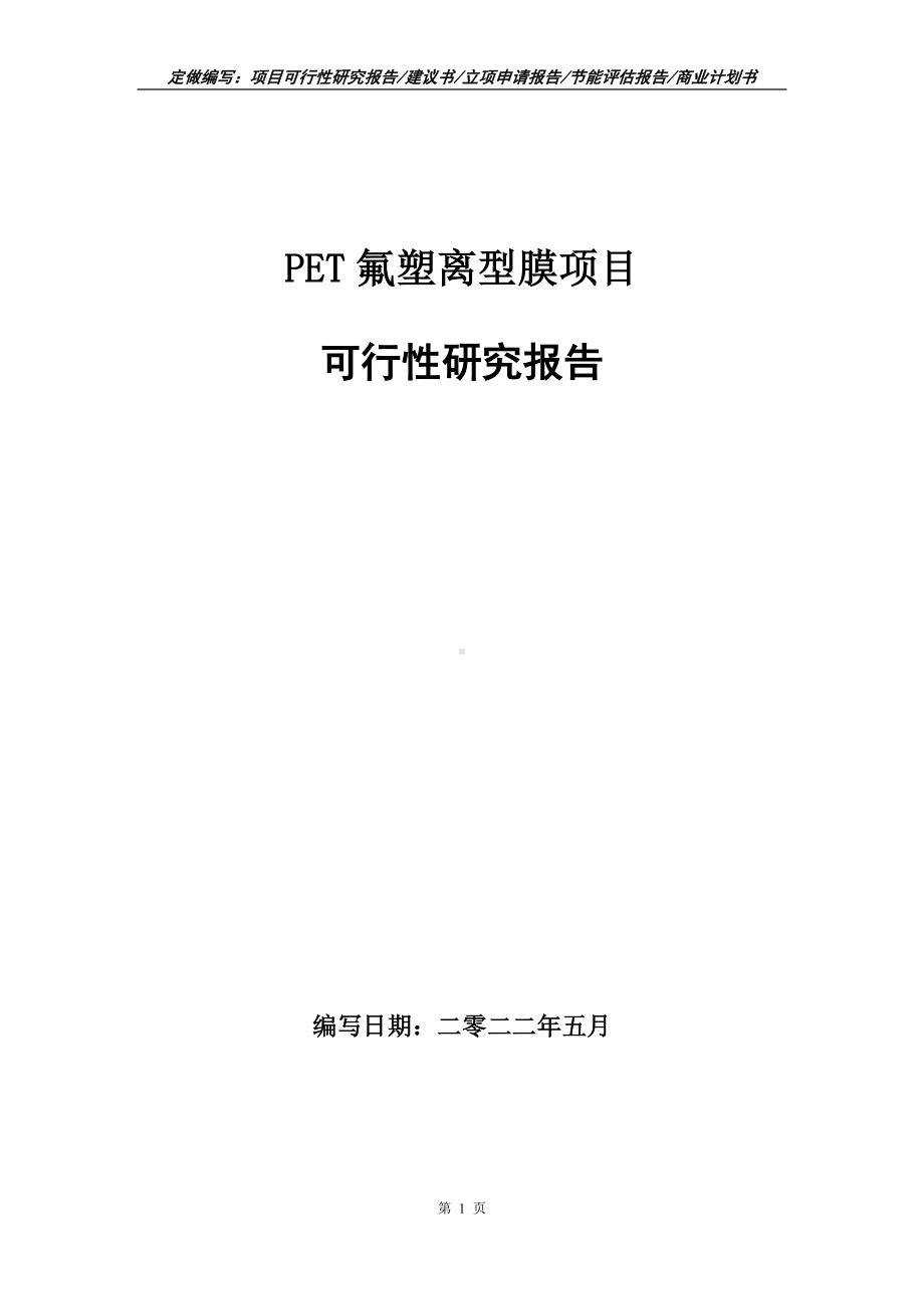 PET氟塑离型膜项目可行性报告（写作模板）.doc_第1页