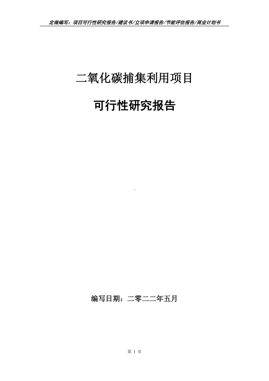 二氧化碳捕集利用项目可行性报告（写作模板）.doc_第1页