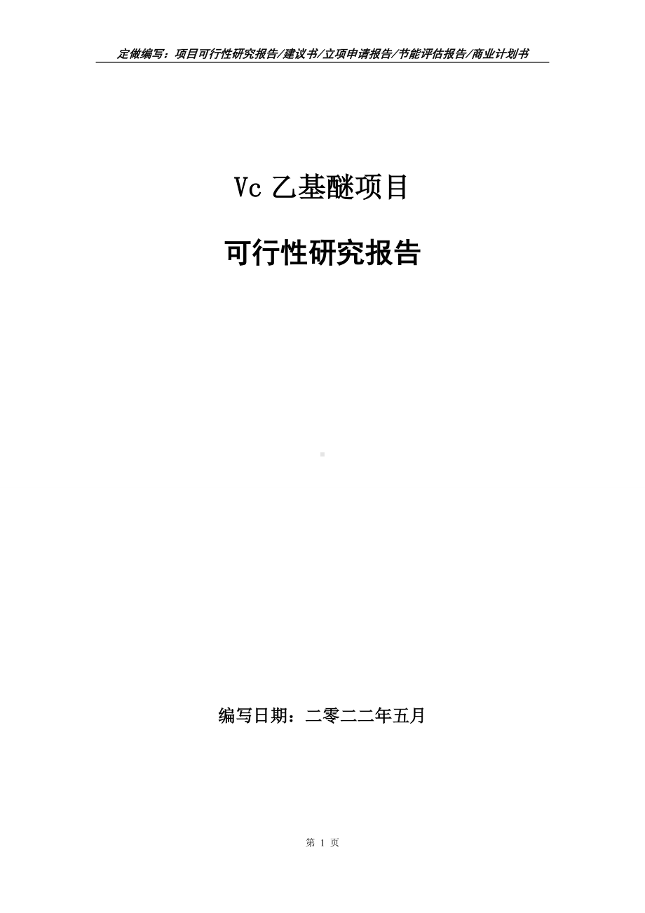 Vc乙基醚项目可行性报告（写作模板）.doc_第1页