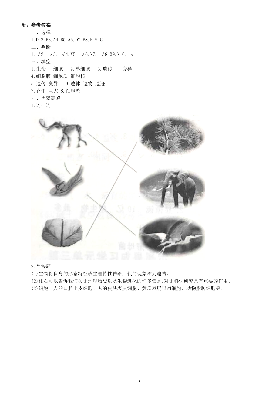 小学科学青岛版六三制六年级上册第一单元《遗传和变异》测试题1（2022秋）（附参考答案）.doc_第3页