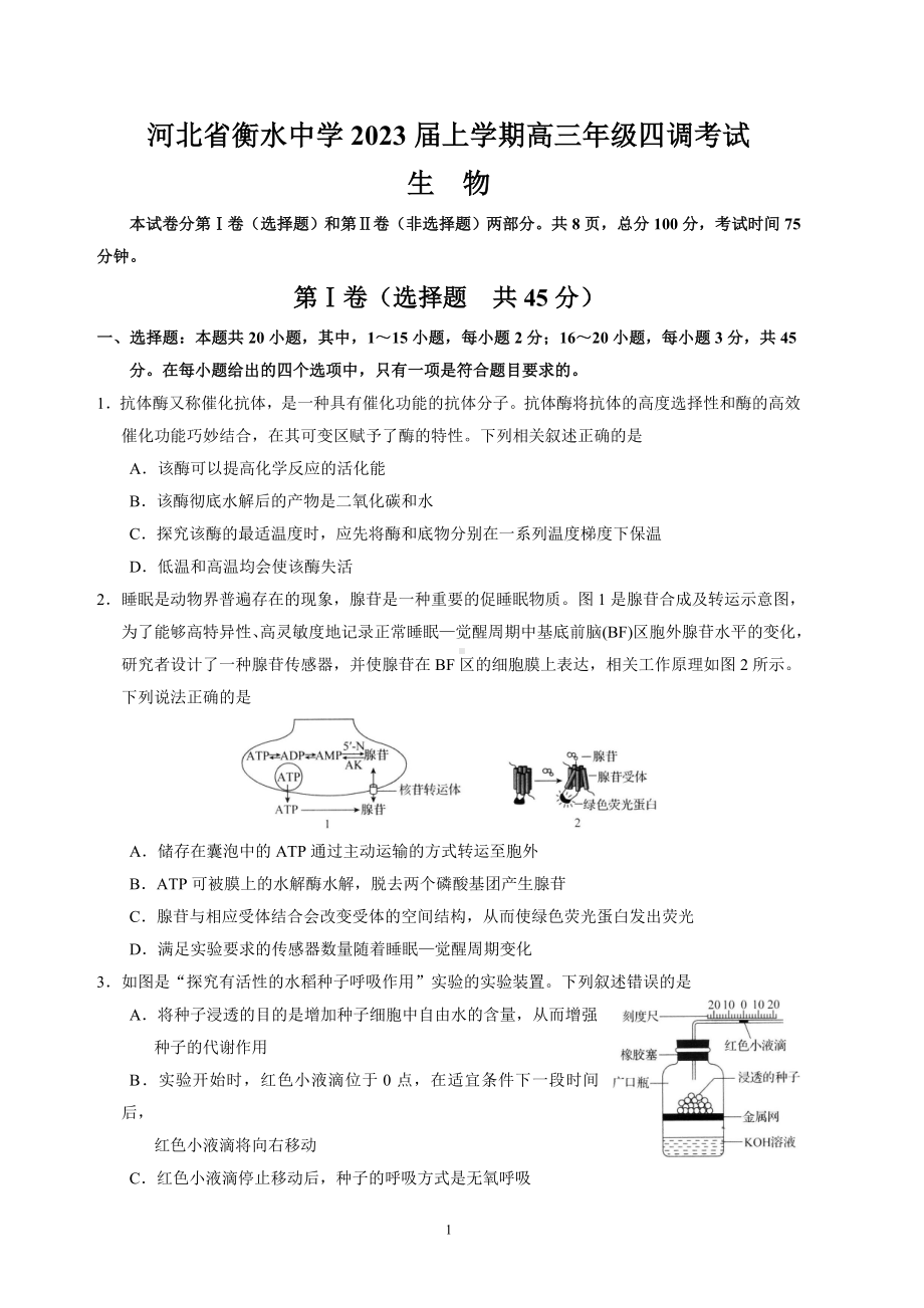 河北省衡水2023届高三上学期四调考试生物试卷+答案.pdf_第1页