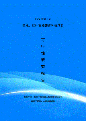 国槐、红叶石楠繁育种植可行性研究报告建议书.doc