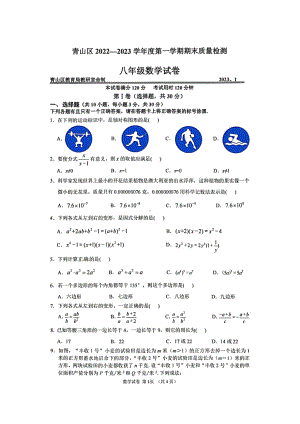 湖北省武汉市青山区 2022-2023 学年上学期期末质量检测八年级数学试卷.pdf