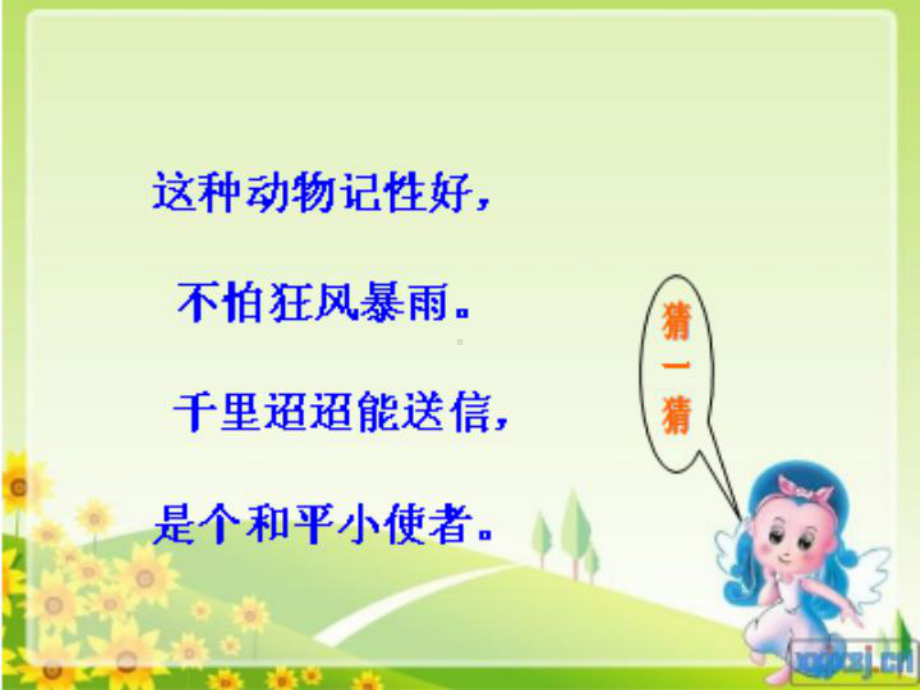 人教小学音乐三上《6白鸽》PPT课件.ppt_第3页