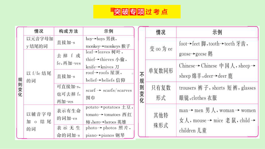 2021年人教版英语中考专题复习专题一名词 （ppt课件）.ppt_第3页