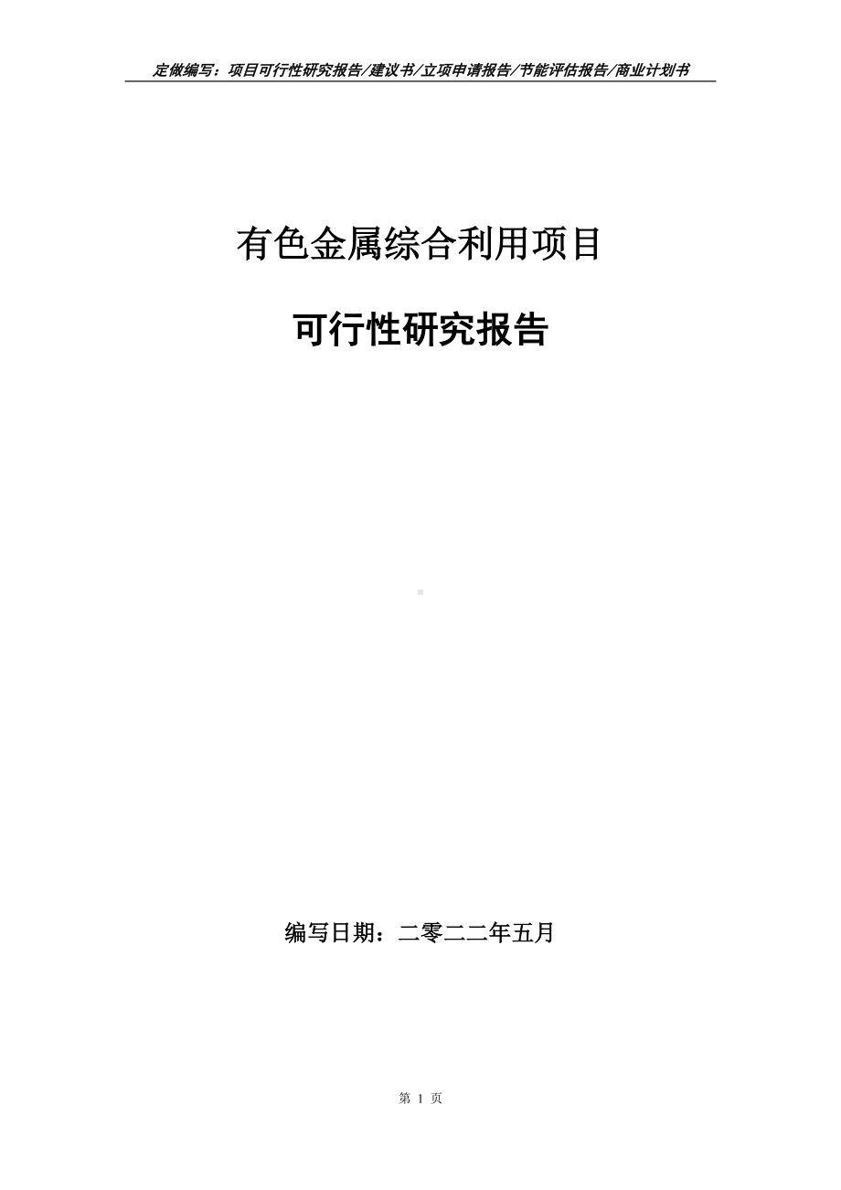 有色金属综合利用项目可行性报告（写作模板）.doc_第1页