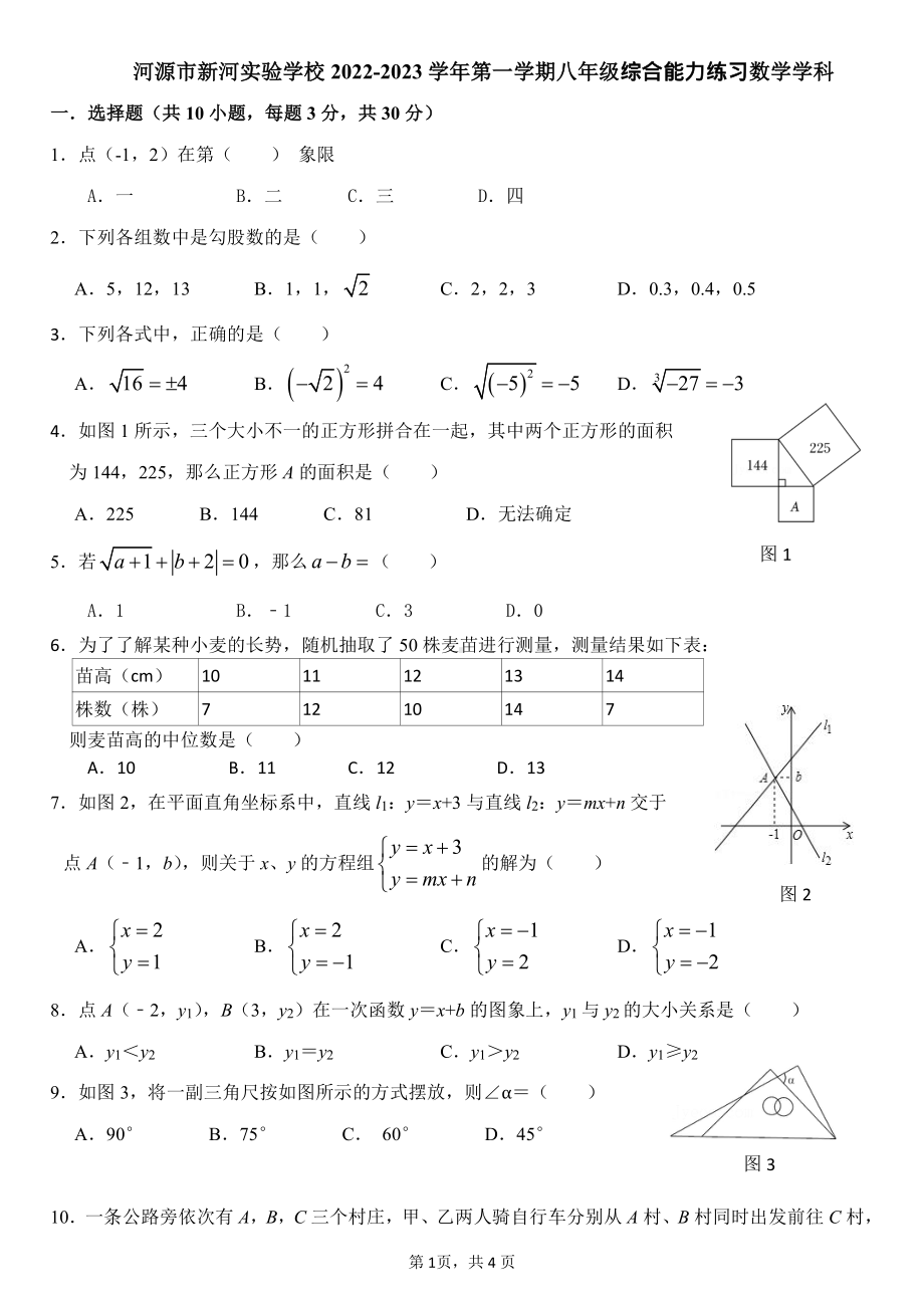 广东省河源市新河实验学校2022-2023学年八年级上综合能力练习数学试卷.pdf_第1页