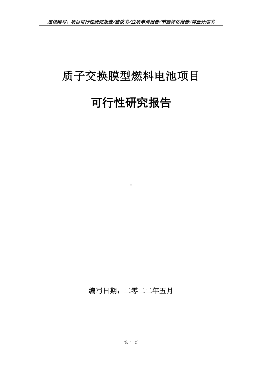 质子交换膜型燃料电池项目可行性报告（写作模板）.doc_第1页