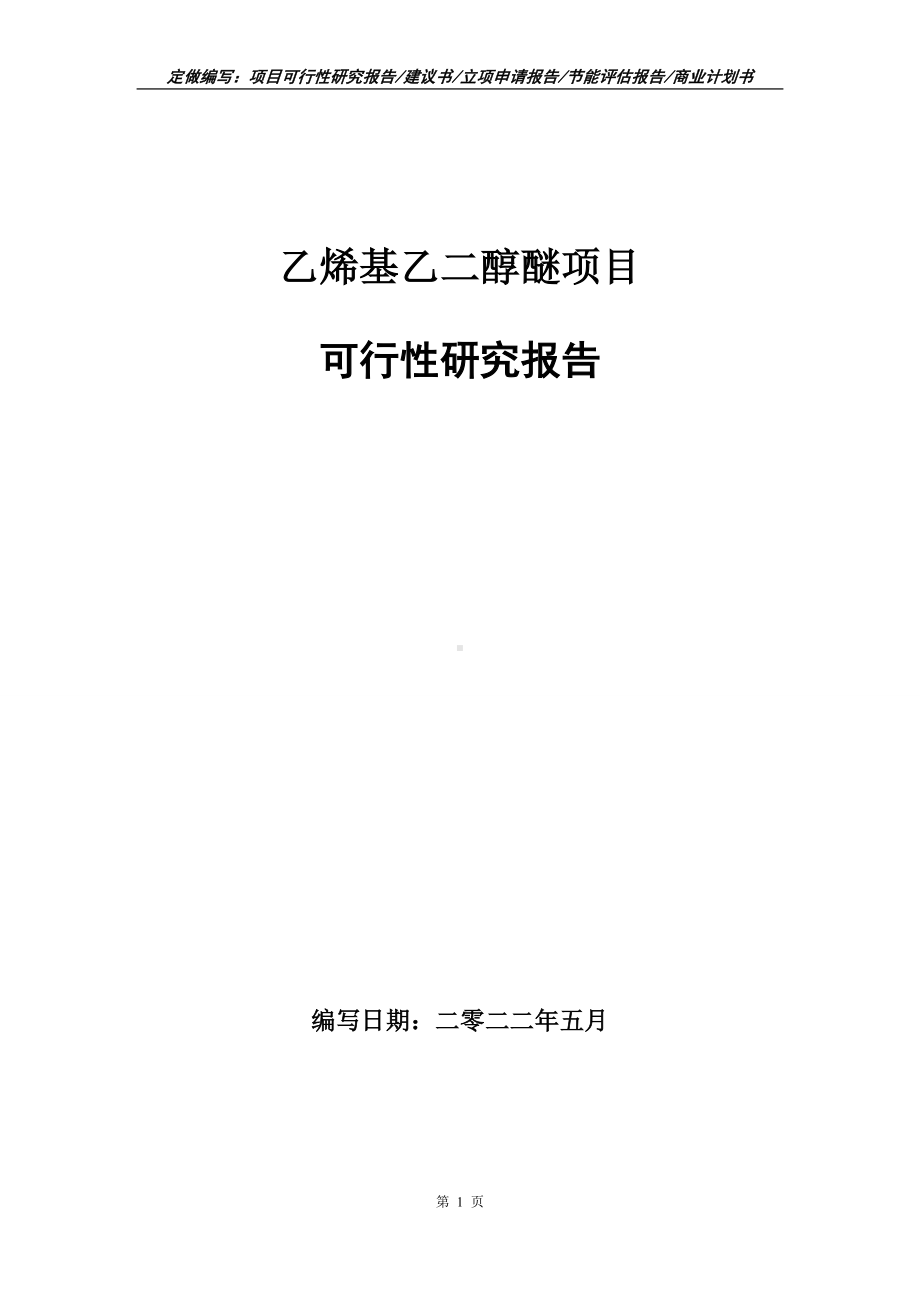 乙烯基乙二醇醚项目可行性报告（写作模板）.doc_第1页