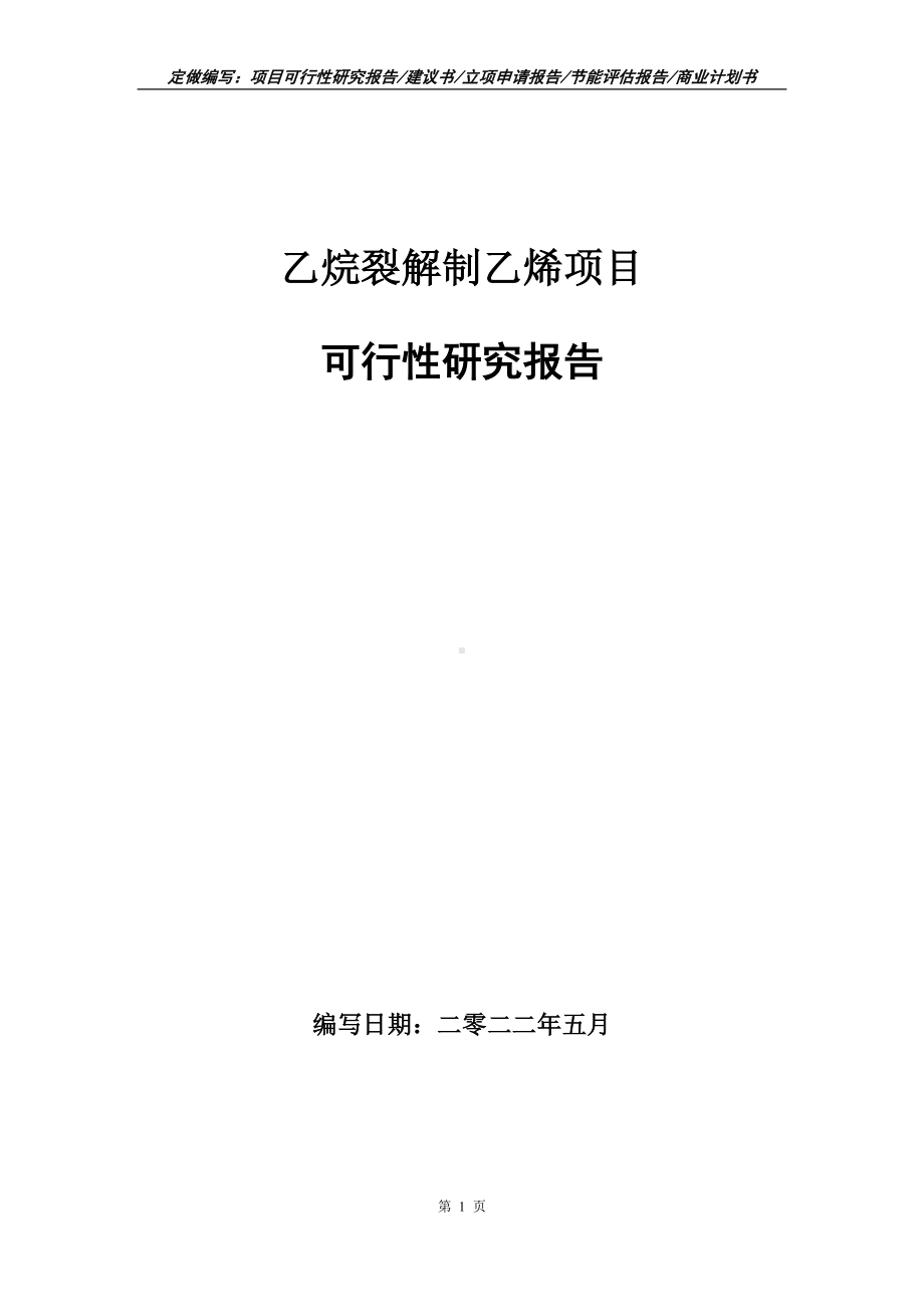 乙烷裂解制乙烯项目可行性报告（写作模板）.doc_第1页