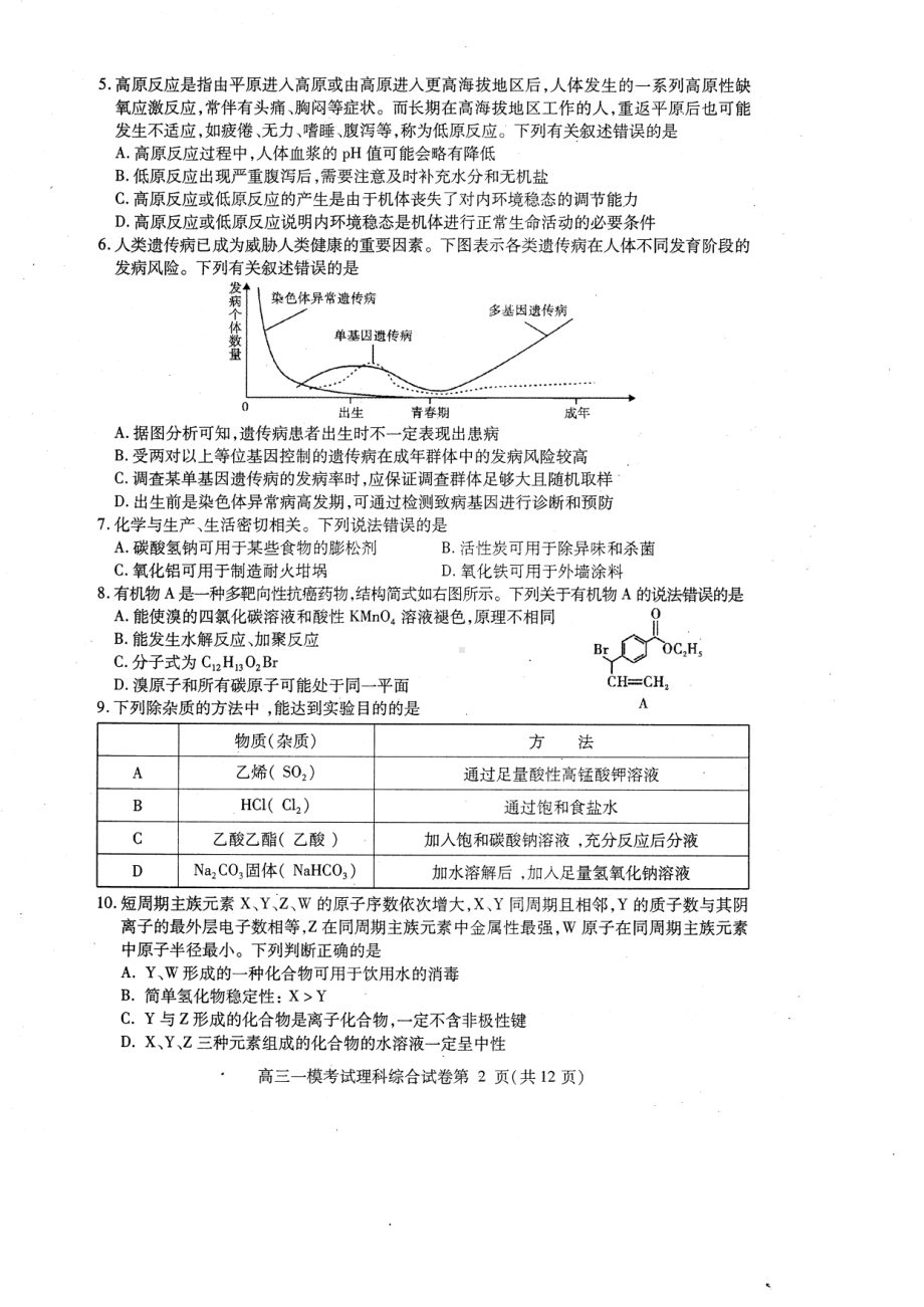 内江市高中2023届第一次模拟考试题（理综）.pdf_第2页