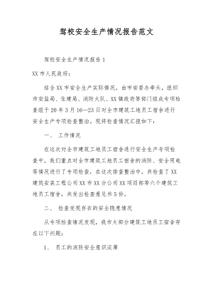 驾校安全生产情况报告范文.docx