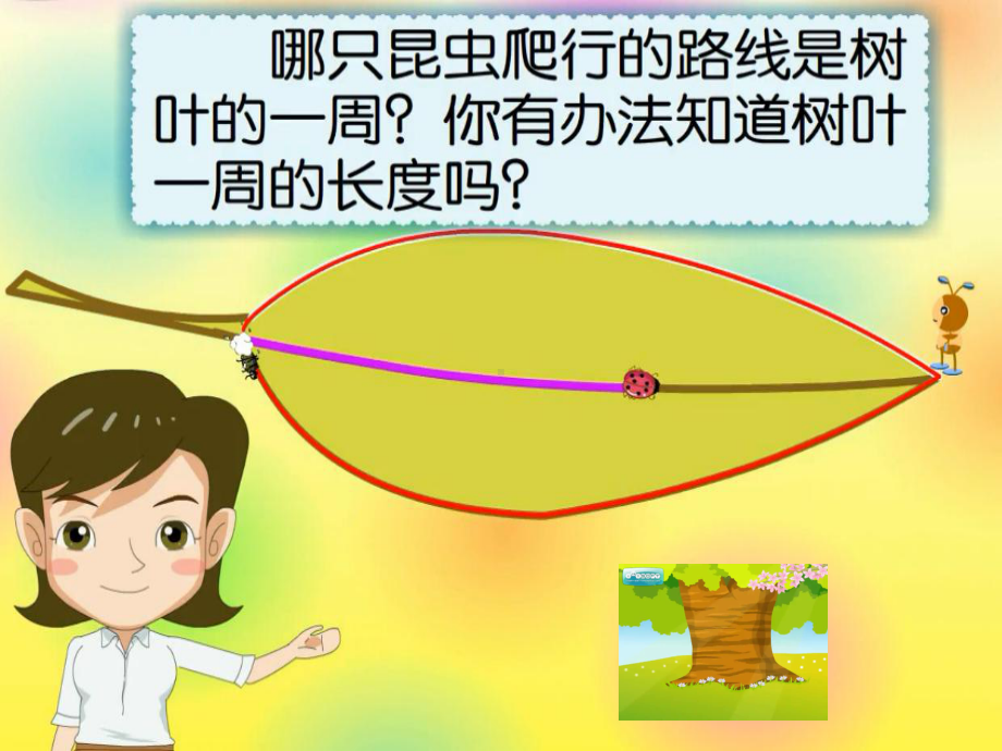 三年级上册数学课件-7.1 认识周长 ︳西师大版 (共13张PPT).pptx_第2页