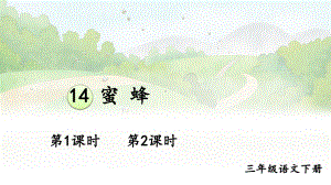 人教部编版三年级下语文14《蜜蜂》示范优质课课件.pptx