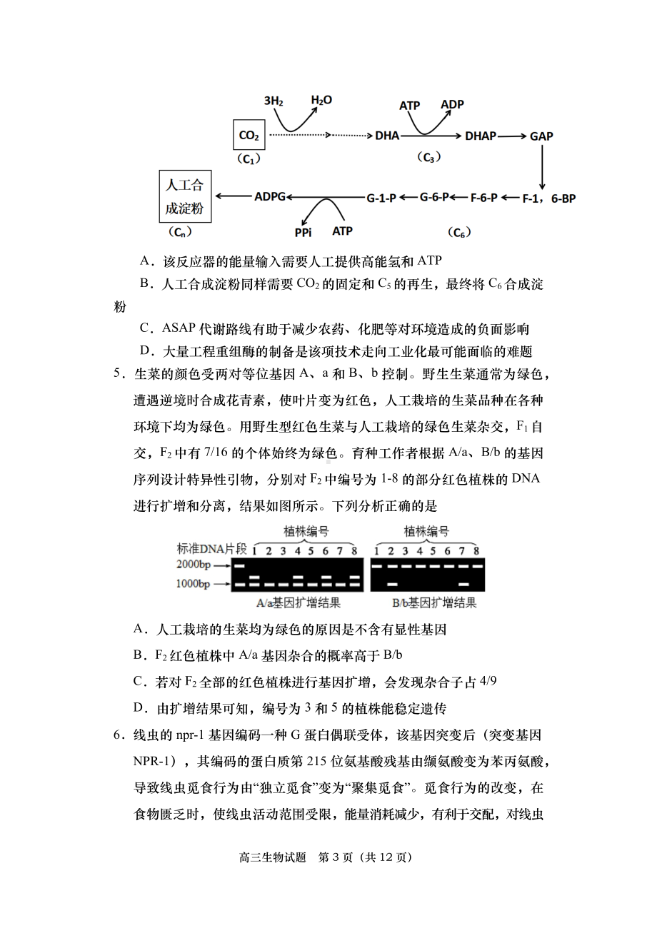 2021—2022学年度第一学期期末学业水平检测高三生物试题.docx_第3页