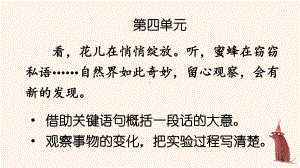 人教部编版三年级下语文13《花钟》示范优质课课件.pptx