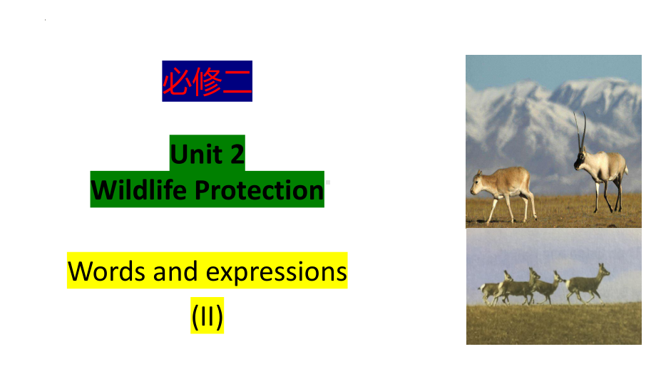 Unit 2 Words and Expressions（2）（ppt课件） (2)-2022新人教版（2019）《高中英语》必修第二册.pptx_第1页