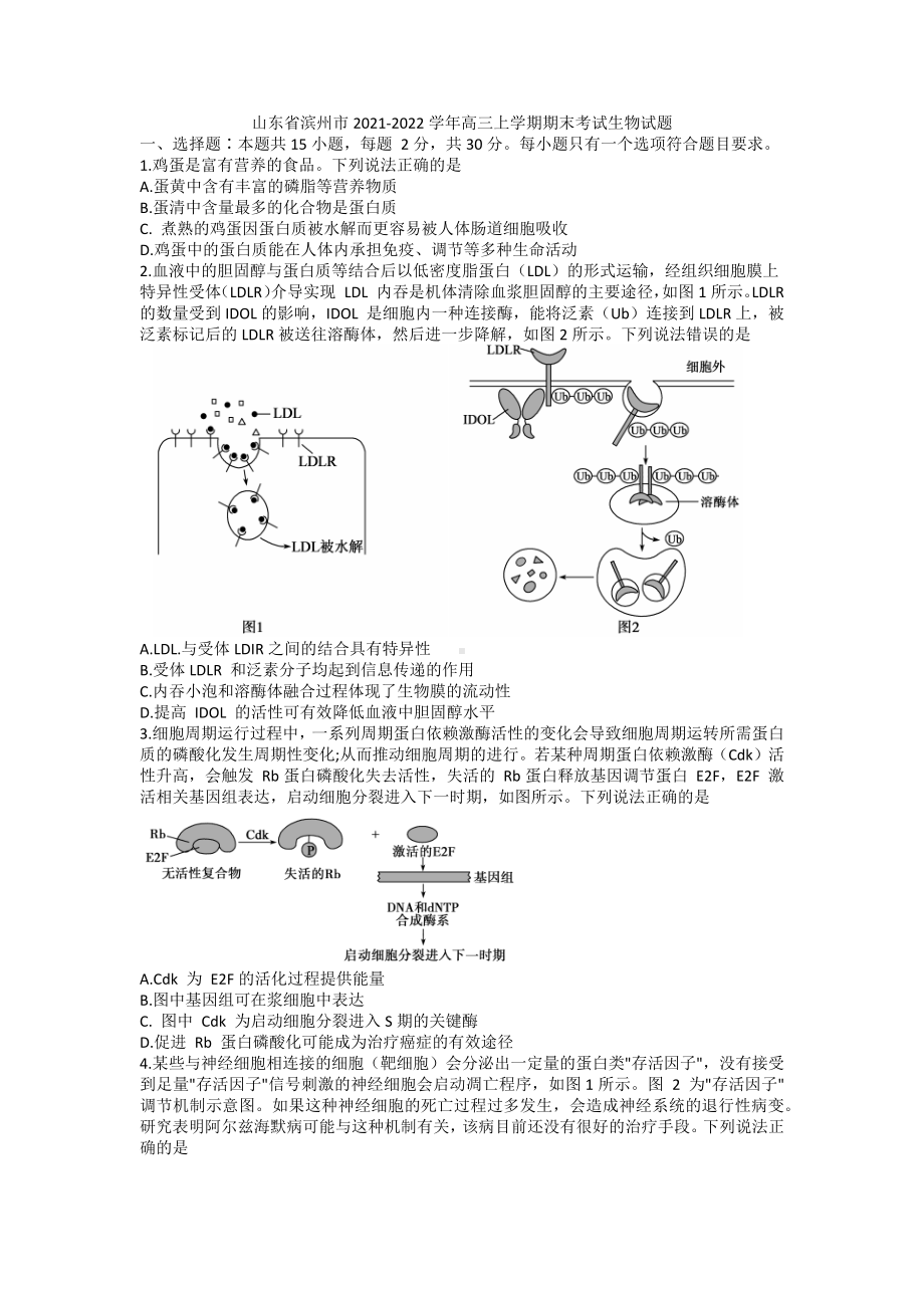 山东省滨州市2021-2022学年高三上学期期末考试生物试题.docx_第1页