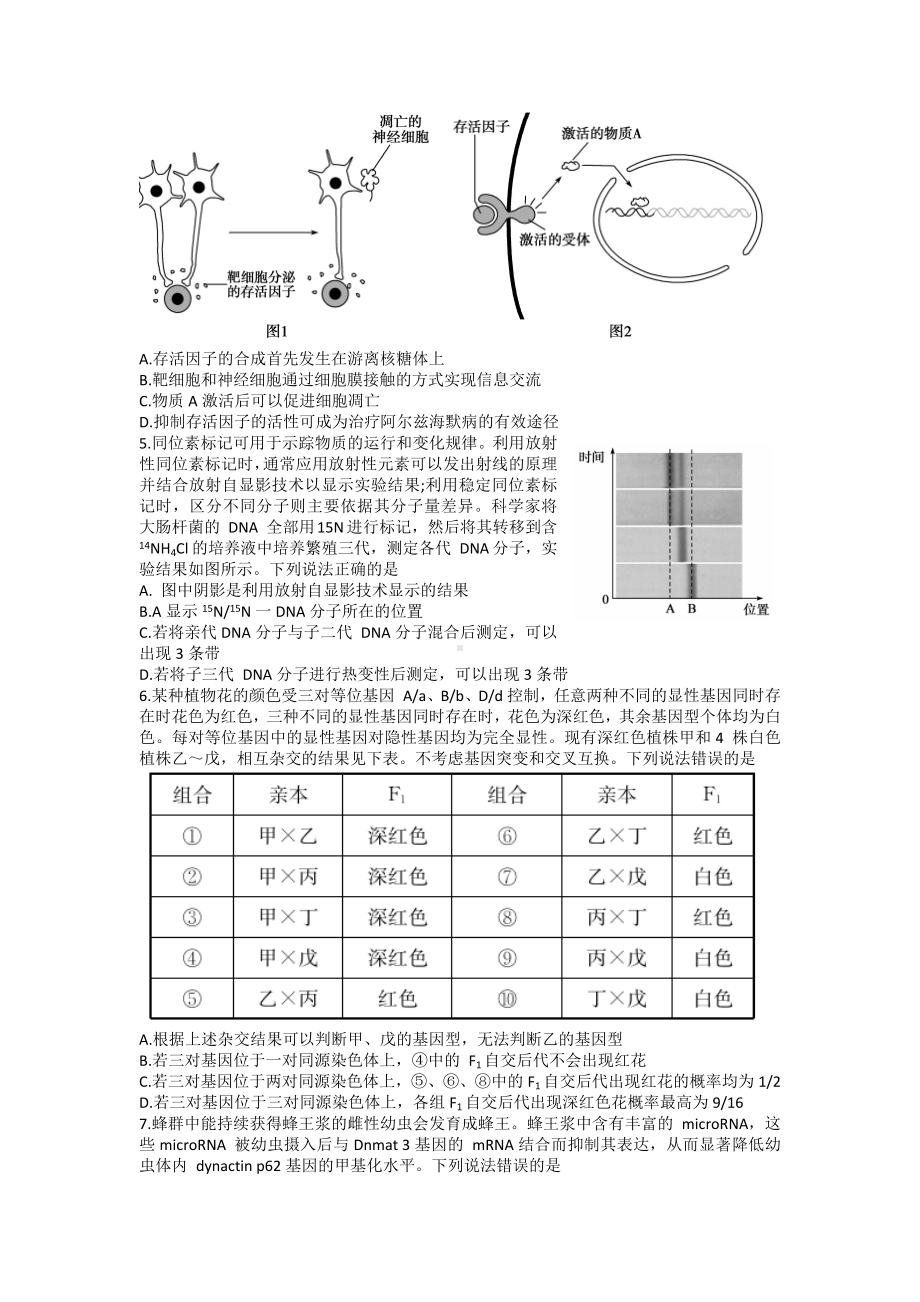 山东省滨州市2021-2022学年高三上学期期末考试生物试题.docx_第2页