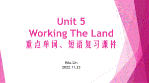 Unit 5 Reading and thinking 词汇短语检测（ppt课件）-2022新人教版（2019）《高中英语》选择性必修第一册.pptx