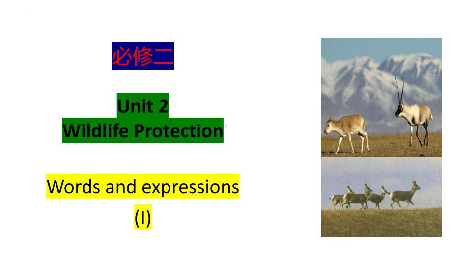 Unit 2 Words and Expressions（ppt课件） (2)-2022新人教版（2019）《高中英语》必修第二册.pptx_第1页