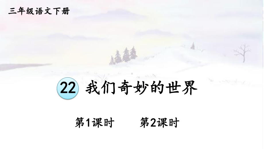 人教部编版三年级下语文22《我们奇妙的世界》示范优质课课件.pptx_第1页