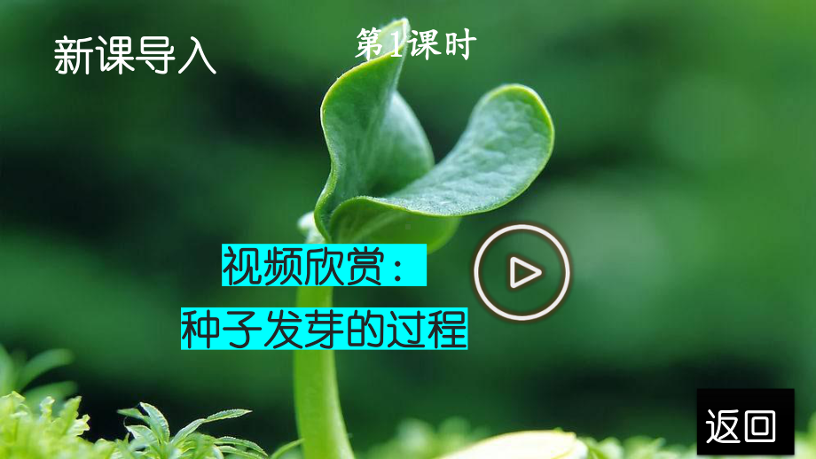 人教部编版三年级下语文22《我们奇妙的世界》示范优质课课件.pptx_第2页