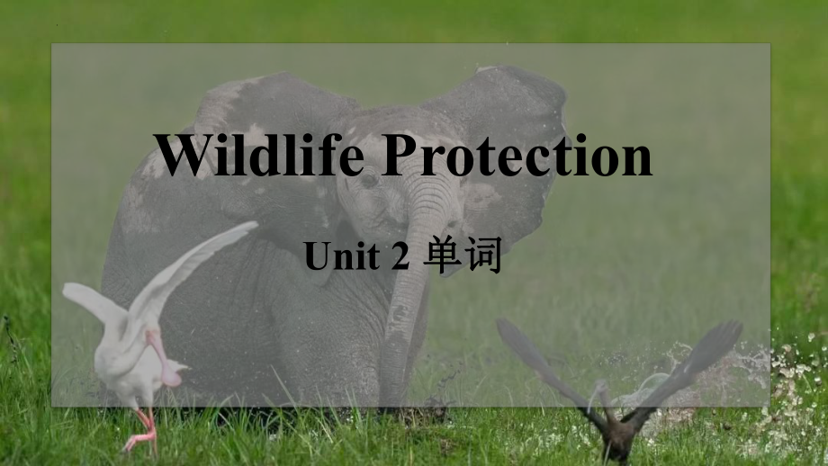 Unit2 Wild Protection单词（ppt课件）-2022新人教版（2019）《高中英语》必修第二册.pptx_第1页