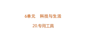 20专用工具 课件 青岛版（六三制2017秋）科学六年级下册.pptx