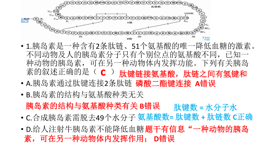 2022新人教版（2019）《高中生物》必修第一册期末调研讲解ppt课件.pptx_第2页