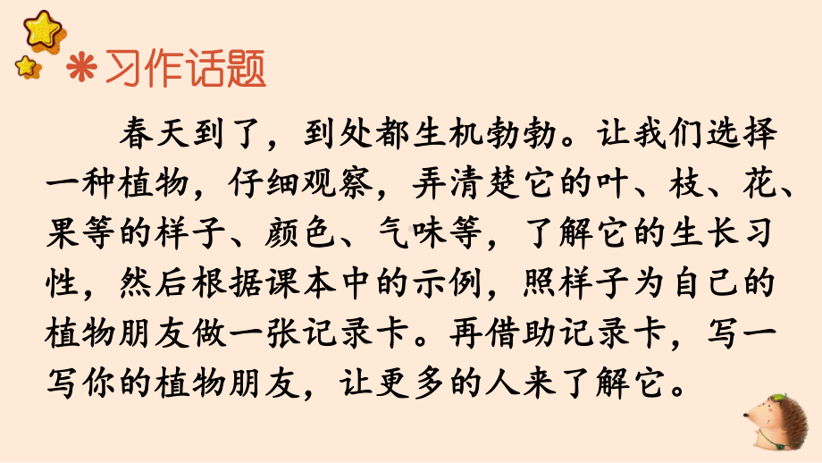 人教部编版三年级下语文《习作：我的植物朋友》示范课课件.pptx_第2页