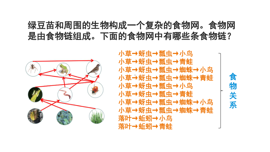 1.7设计和制作生态瓶 ppt课件-2023新教科版五年级下册《科学》.pptx_第3页