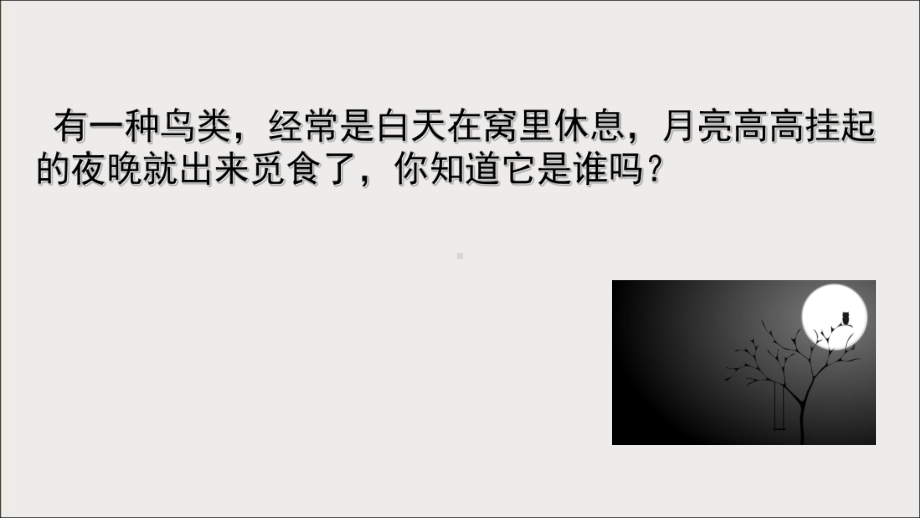 三年级上册美术课外班课件-11猫头鹰来了 全国通用 (共14张PPT).ppt_第3页