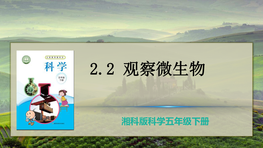 2.2 观察微生物 ppt课件（27张PPT）-2023新湘教版五年级下册《科学》.pptx_第3页