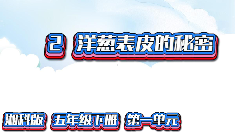 1.2洋葱表皮的秘密ppt课件（22张PPT)-2023新湘教版五年级下册《科学》.pptx_第2页