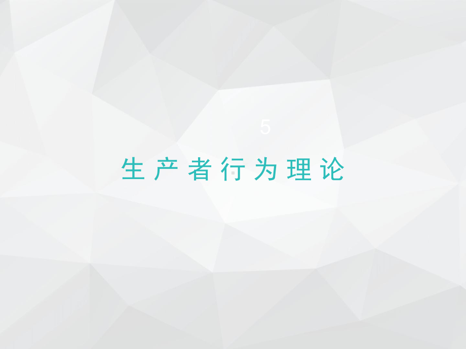 《经济学基础》课件第五章-生产者行为理论.ppt_第1页