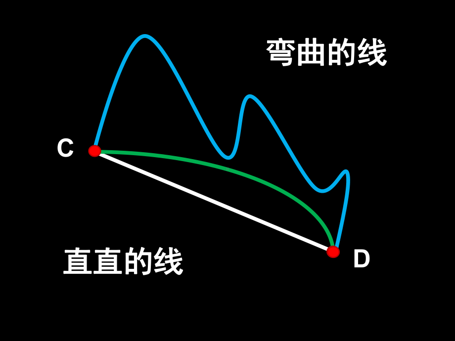 四年级上册数学课件-3.1 线段、直线和射线 ︳西师大版(共22张PPT).pptx_第2页