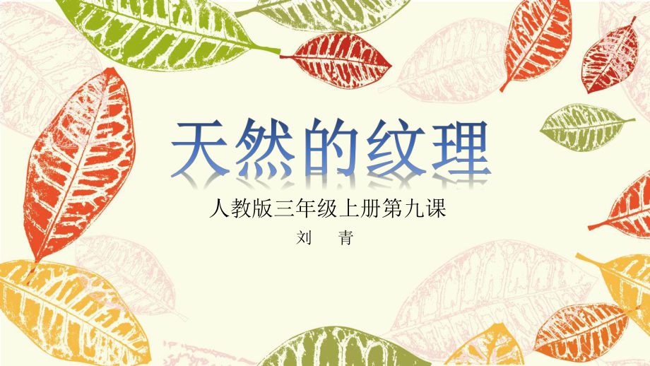 三年级上册美术课件 - 9《 天然的纹理 》 人教新课标（）(共20张PPT).pptx_第2页