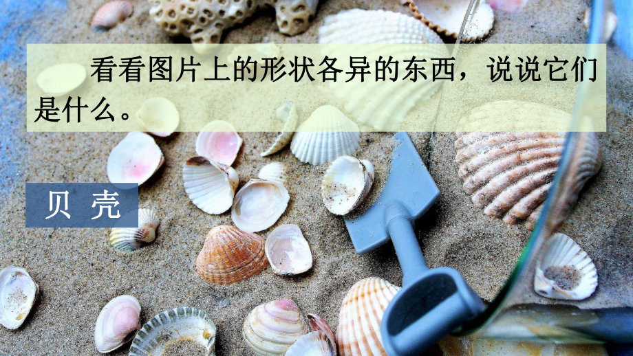 人教部编版二年级下语文《识字3 “贝”的故事》优质示范课课件.pptx_第2页