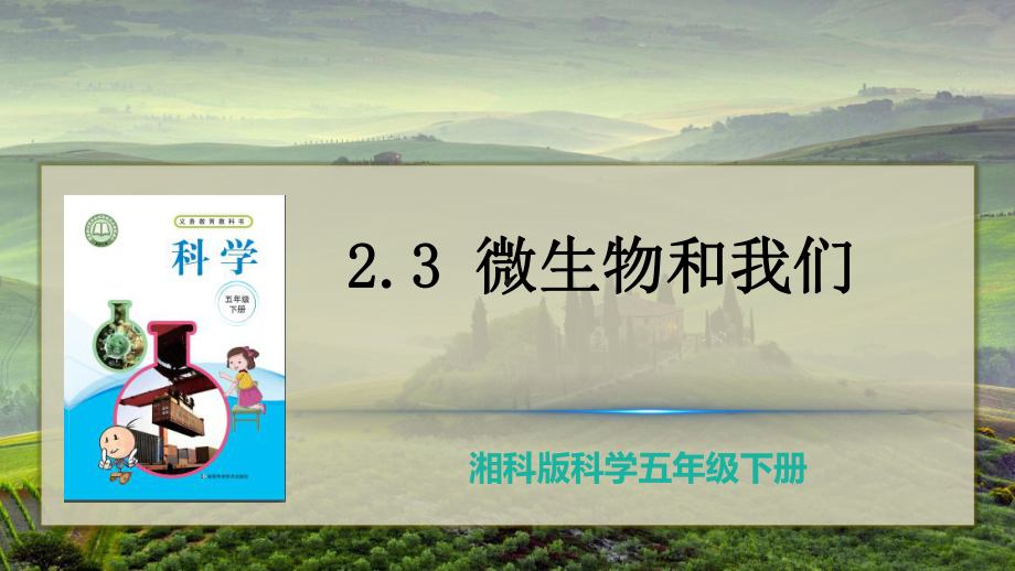 2.3 微生物和我们 ppt课件（27张PPT）-2023新湘教版五年级下册《科学》.pptx_第3页