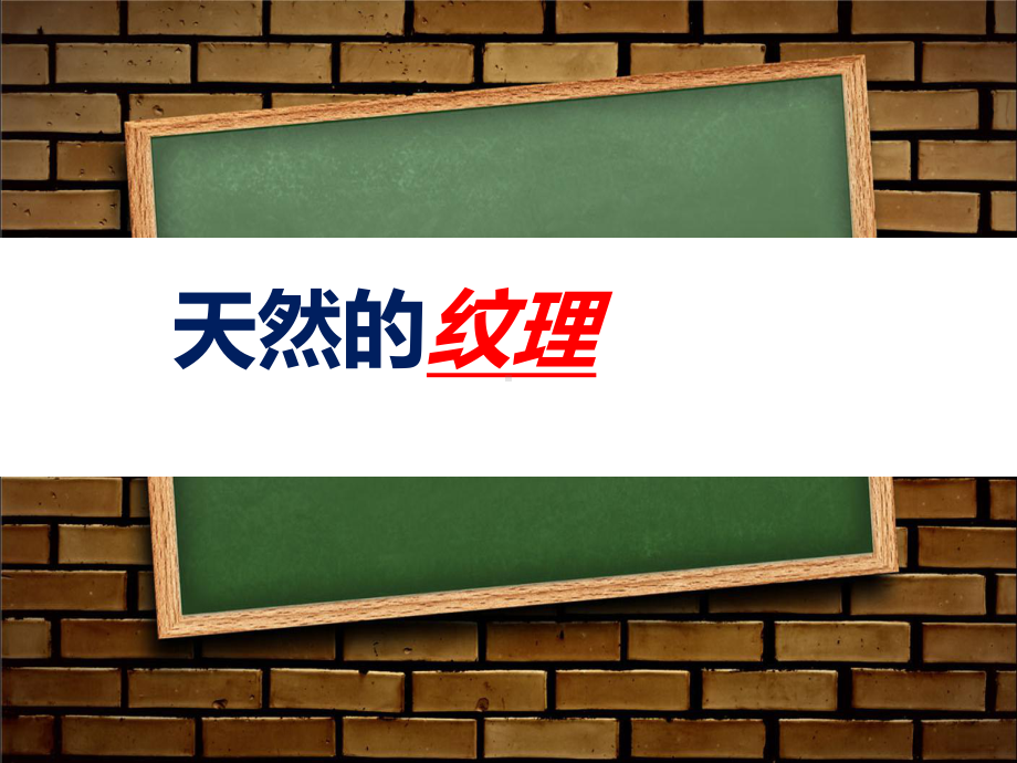 三年级上册美术课件 - 9《天然的纹理》 人教新课标（ ）(共10张PPT).ppt_第1页