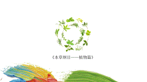 三年级上册美术课外班课件-《本草纲目-植物篇》全国通用(共17张PPT).ppt