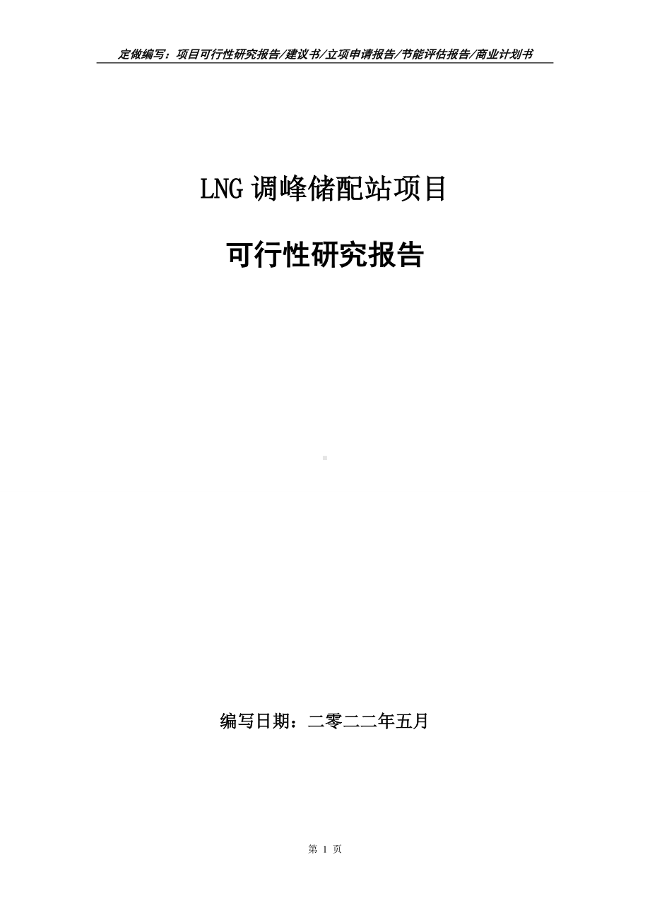 LNG调峰储配站项目可行性报告（写作模板）.doc_第1页