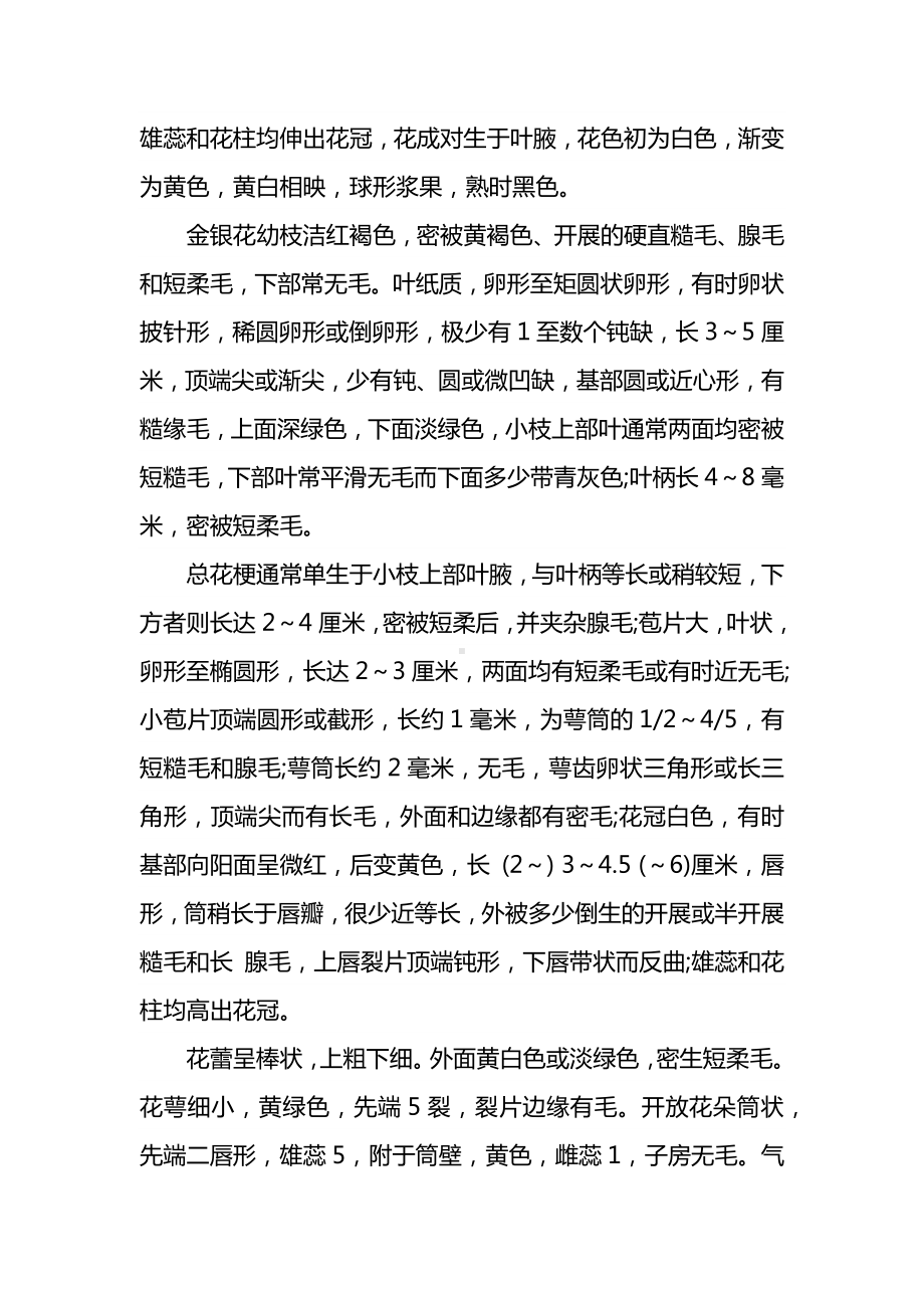 金银花的形态特征和生长习性.docx_第2页